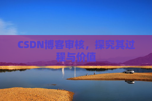 CSDN博客审核，探究其过程与价值